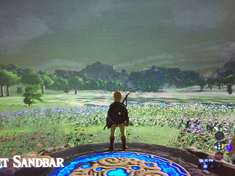Illustration for article titled Here are Some of my Favorite Screenshots from The Legend of Zelda: Breath of the Wild